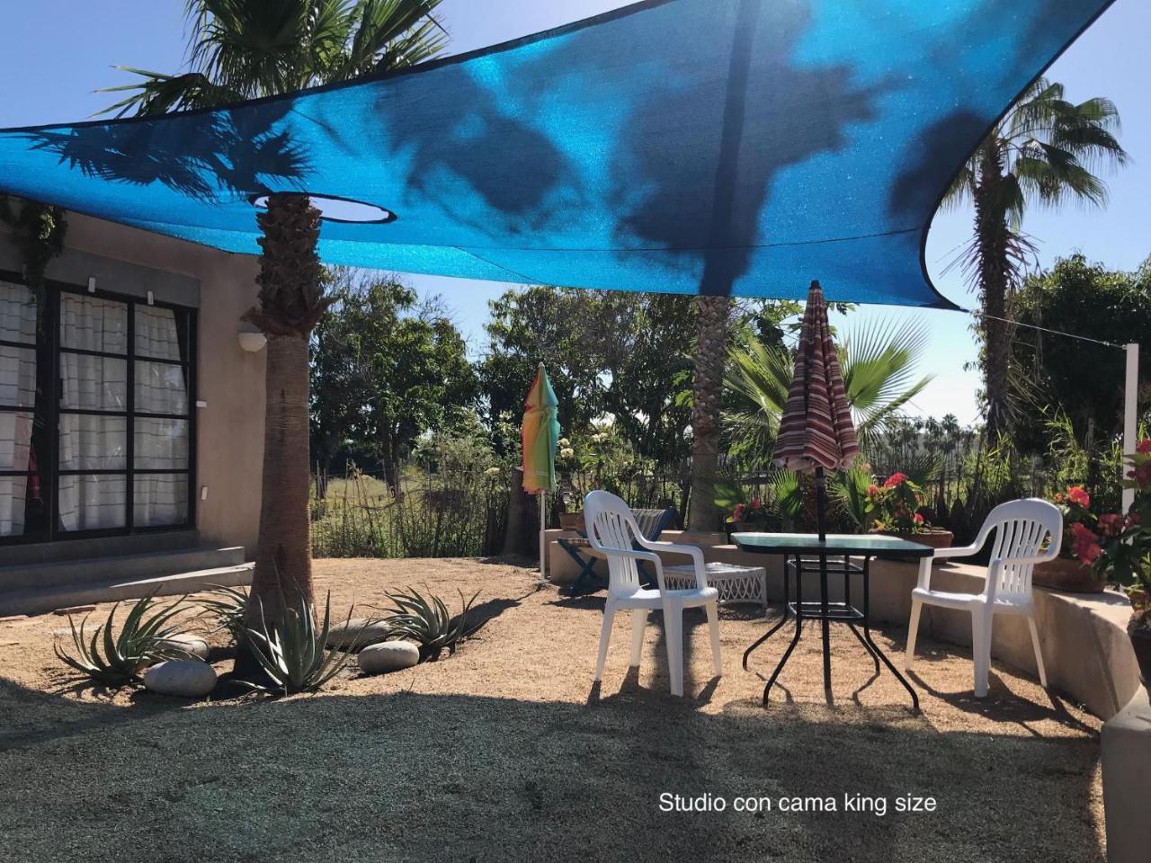 Sole Caliente Villa Todos Santos Exterior photo